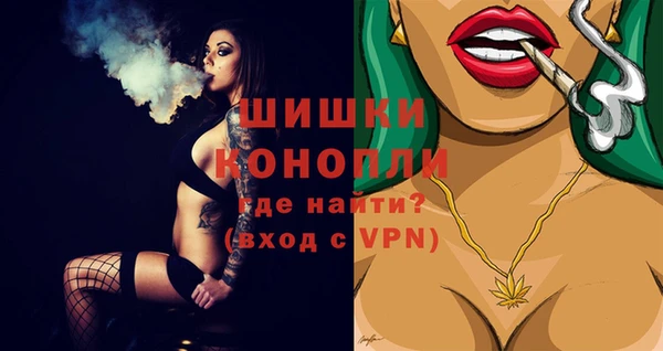 индика Магадан