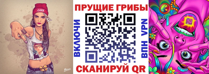 Псилоцибиновые грибы Cubensis  МЕГА онион  Южно-Сухокумск 