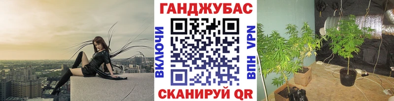 Конопля Bruce Banner  kraken маркетплейс  Южно-Сухокумск  наркошоп 